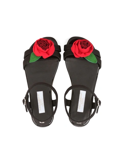 Shop Dolce & Gabbana Rose-detail Buckled Sandals In Black