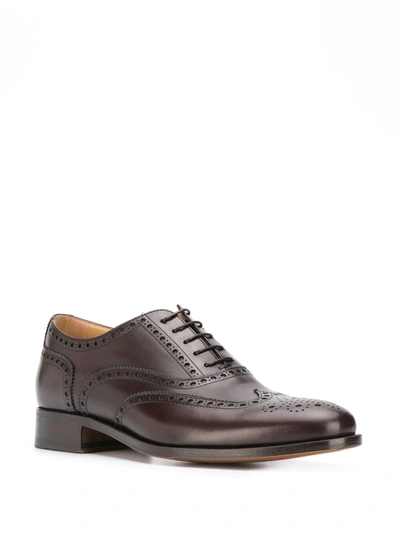 Shop Scarosso Philip Classic Brogues In Brown