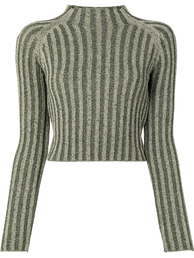 Shop Dion Lee Rib-knit Jumper In Brown