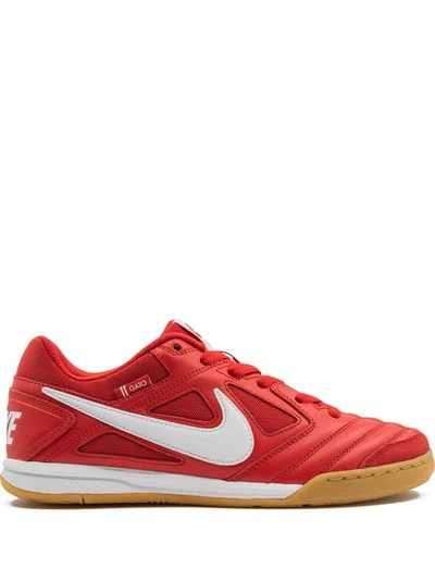 Shop Nike Sb Gato "university Red/white/gum Red" Sneakers