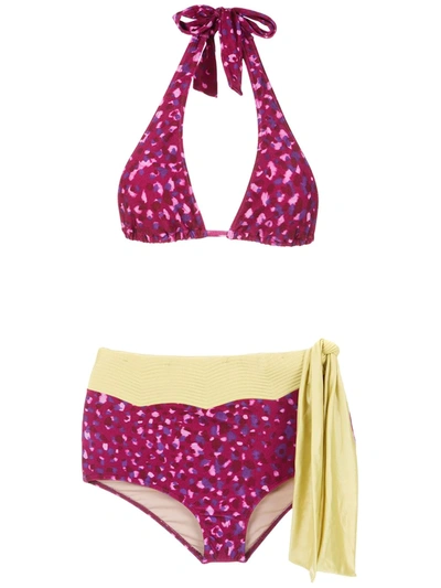 Shop Adriana Degreas Pomegranate Hot Pants Bikini Set In Pink