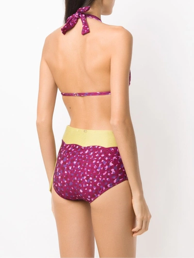 Shop Adriana Degreas Pomegranate Hot Pants Bikini Set In Pink