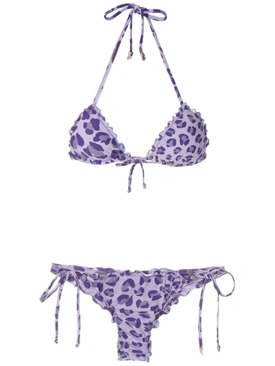 Shop Amir Slama Leopard-print Two-piece Bikini In Purple