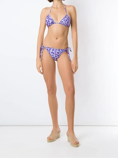 Shop Amir Slama Leopard-print Two-piece Bikini In Purple