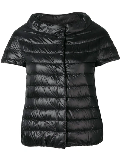 Shop Herno Short Sleeve Puffer Jacket In Black