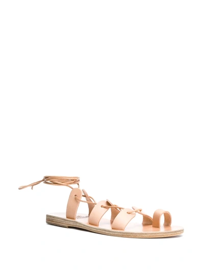 Ancient Greek Sandals Alcyone Strappy Flat Sandals In Neutrals