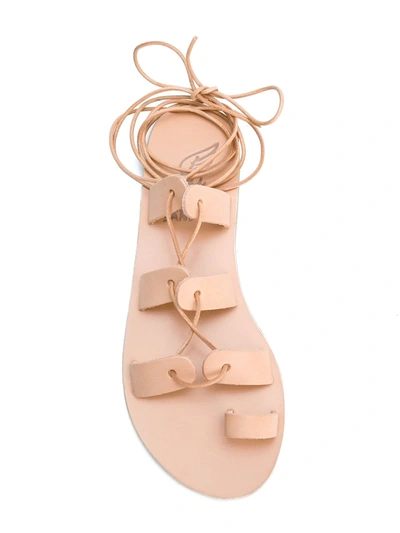 Shop Ancient Greek Sandals Alcyone Flat Sandals In Neutrals