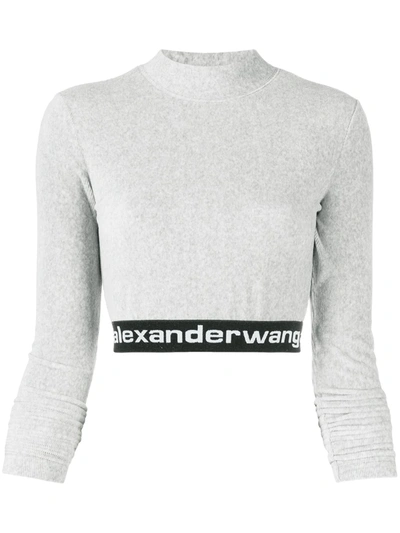 Shop Alexander Wang T Long-sleeve Crop Top In Grey