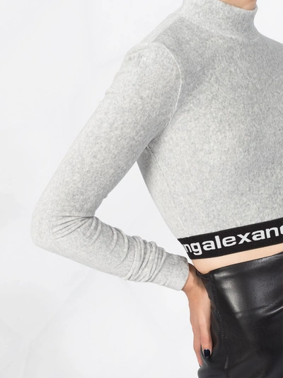 Shop Alexander Wang T Long-sleeve Crop Top In Grey