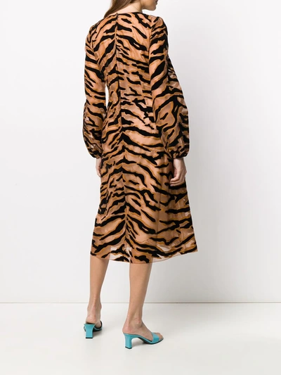 Shop Dolce & Gabbana Tiger Print Sheer Dress In Neutrals