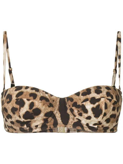 Shop Dolce & Gabbana Leopard Bikini Top In Brown