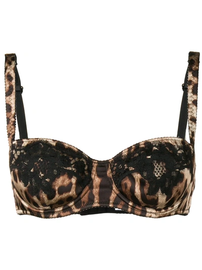 Shop Dolce & Gabbana Leopard-print Balconette Bra In Brown