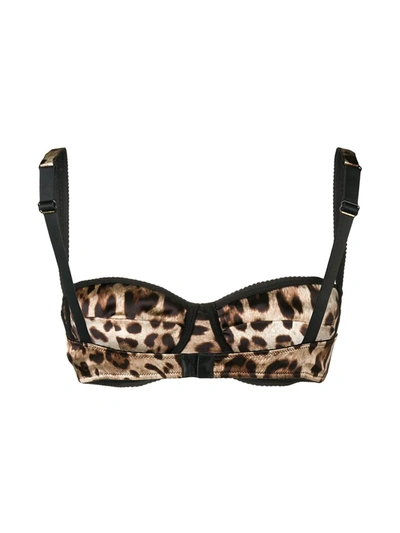 Shop Dolce & Gabbana Leopard-print Balconette Bra In Brown
