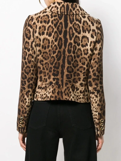 Shop Dolce & Gabbana Dolce Leopard-print Wool Jacket In Brown