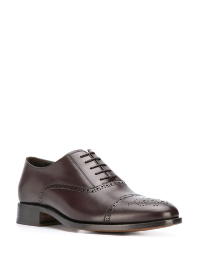 Shop Scarosso Silvio Classic Brogues In Brown