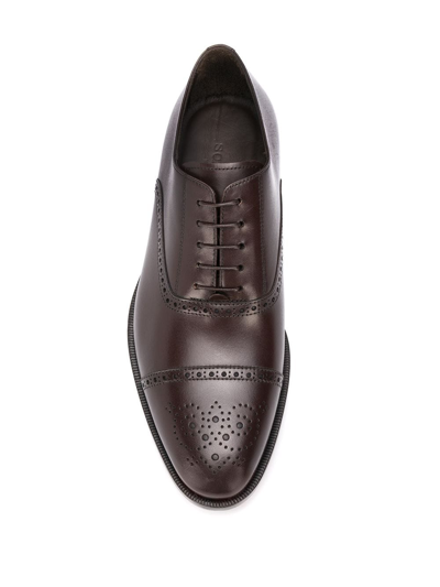 Shop Scarosso Silvio Classic Brogues In Brown