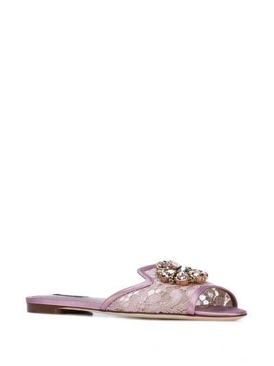 Dolce & Gabbana Rainbow Lace Brooch-detail Sandals In Pink