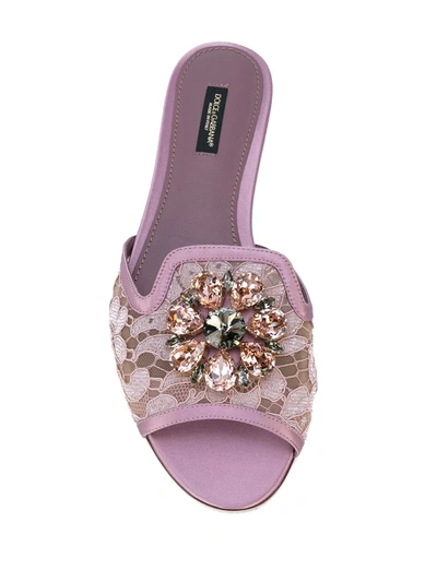 Dolce & Gabbana Rainbow Lace Brooch-detail Sandals In Pink