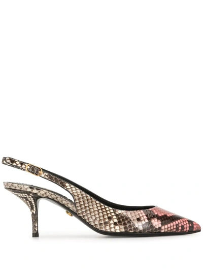 Shop Dolce & Gabbana Slingback Python-skin Mules In Brown