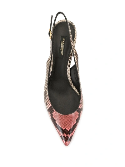 Shop Dolce & Gabbana Slingback Python-skin Mules In Brown