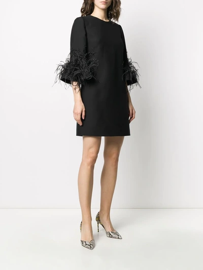 Shop Valentino Feather Detail Shift Dress In Black