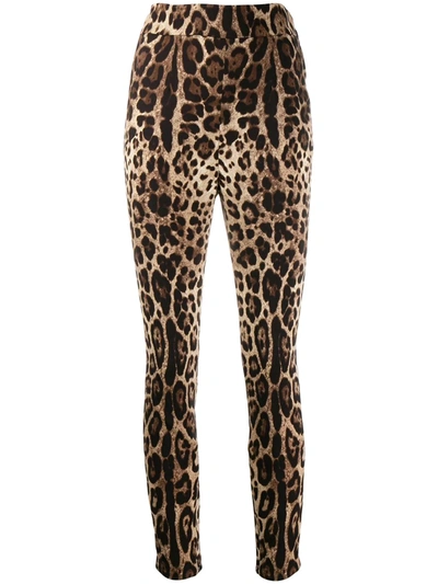 Shop Dolce & Gabbana Leopard-print Cropped Leggings In Neutrals