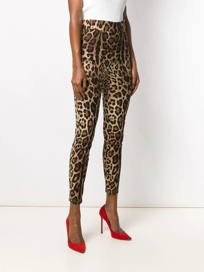 Shop Dolce & Gabbana Leopard-print Cropped Leggings In Neutrals