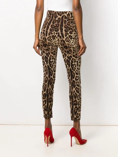 Dolce & Gabbana Leopard Print Cropped Trousers In Neutrals