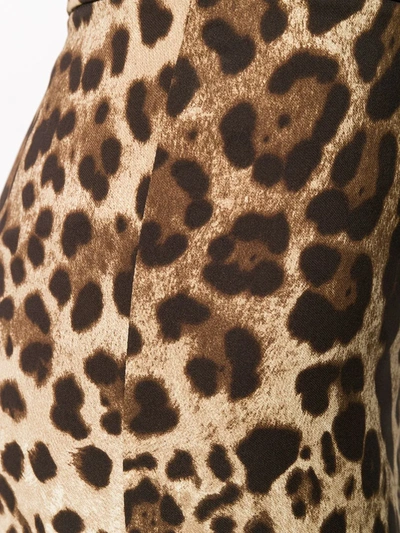 Shop Dolce & Gabbana Leopard-print Cropped Leggings In Neutrals