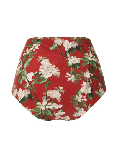 Shop Patbo Floral Print High-rise Bikini Bottoms In Red