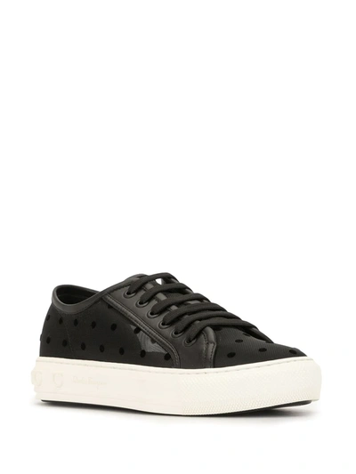 Shop Ferragamo Polka Dot Low-top Sneakers In Black