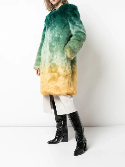 Shop Mary Katrantzou Thalia Ombre Faux Fur Coat In Green