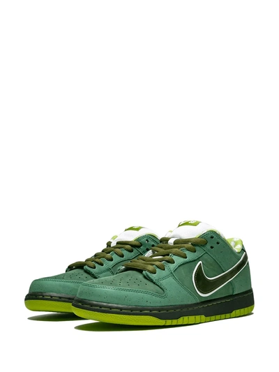 Nike X Concepts Sb Dunk Low Pro Og Qs Sneakers In Green