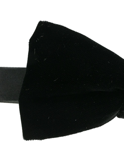 Shop Saint Laurent Velvet Bow Tie In Black