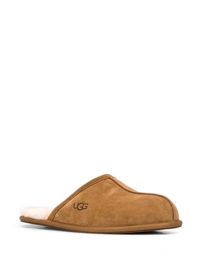 Ugg Scuff Sheepskin Slippers In Brown
