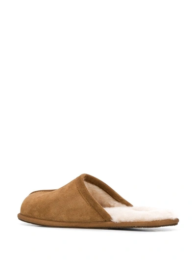 Ugg Scuff Sheepskin Slippers In Brown