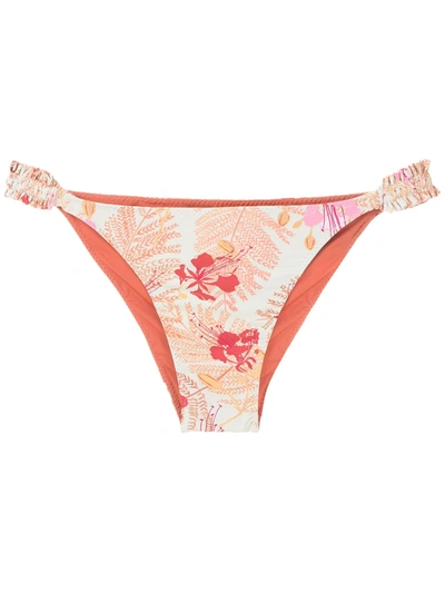 Clube Bossa Loretta Bikini Bottoms In Neutrals
