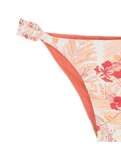 Clube Bossa Loretta Bikini Bottoms In Neutrals