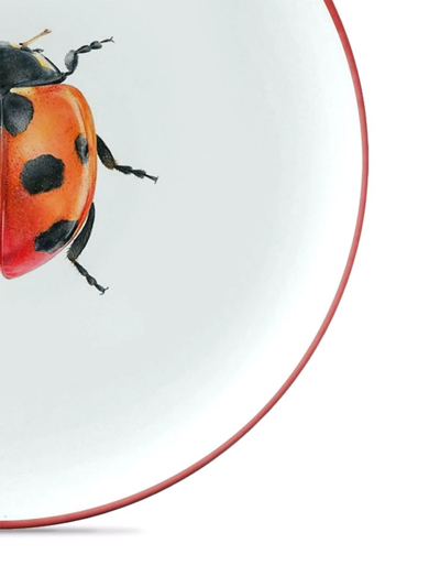 Les-ottomans Insetti Collection Plate In Multicolour