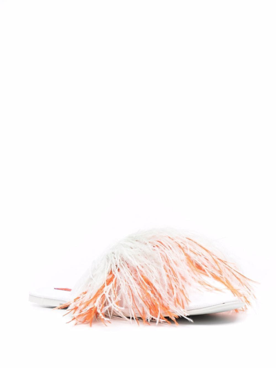 Shop La Doublej Feather Embellished Slippers In White