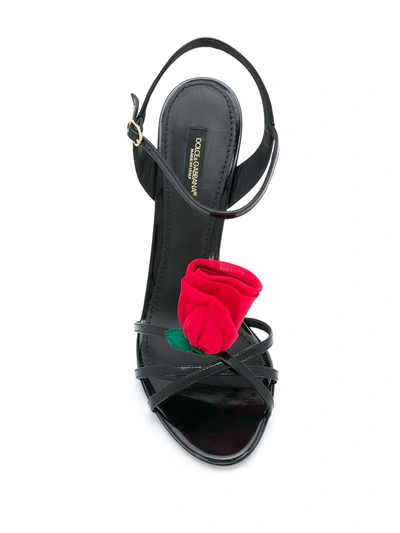 Shop Dolce & Gabbana 105mm Keira Rose-applique Sandals In Black