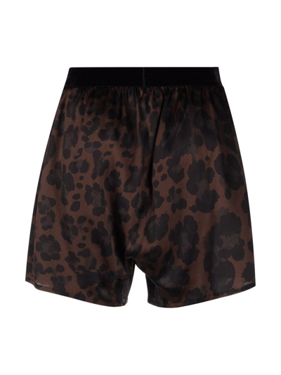 Shop Tom Ford Leopard-print Boxers In 褐色