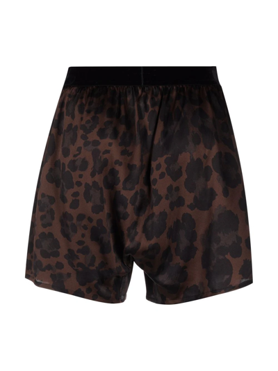 Tom Ford Leopard Print Boxer Briefs In 褐色