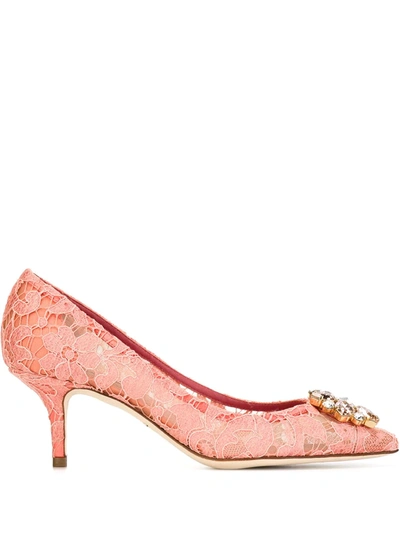 Shop Dolce & Gabbana Bellucci Pumps In Pink