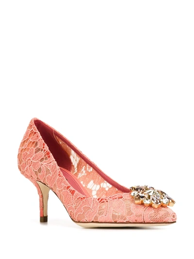 Shop Dolce & Gabbana Bellucci Pumps In Pink