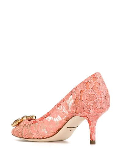 Shop Dolce & Gabbana Bellucci Pumps In Pink