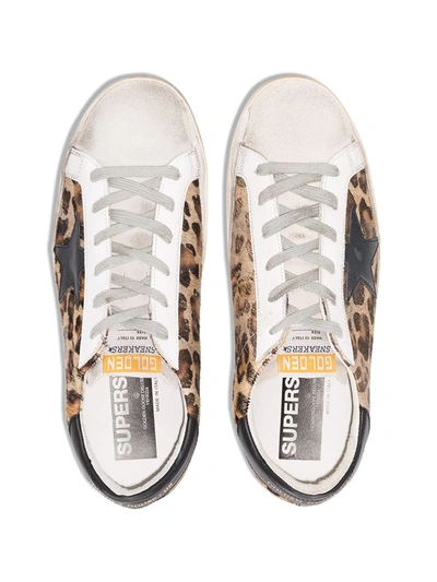 Shop Golden Goose Super-star Leopard Print Sneakers In Brown