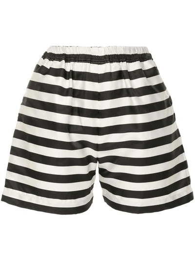Shop Bambah Arayas Striped Shorts In Black