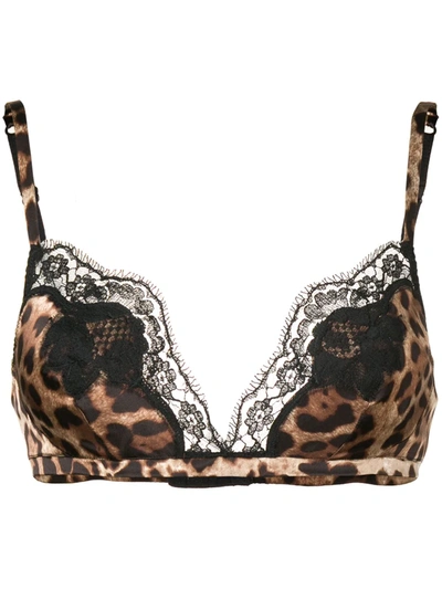 Shop Dolce & Gabbana Leopard Print Bra In Brown