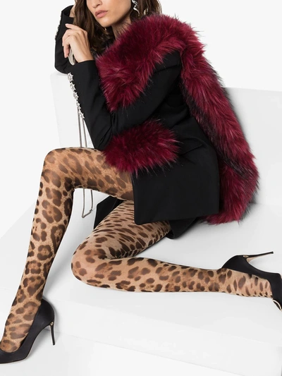 Shop Dolce & Gabbana Leopard-print Tights In Brown